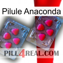 Anaconda Pill 14